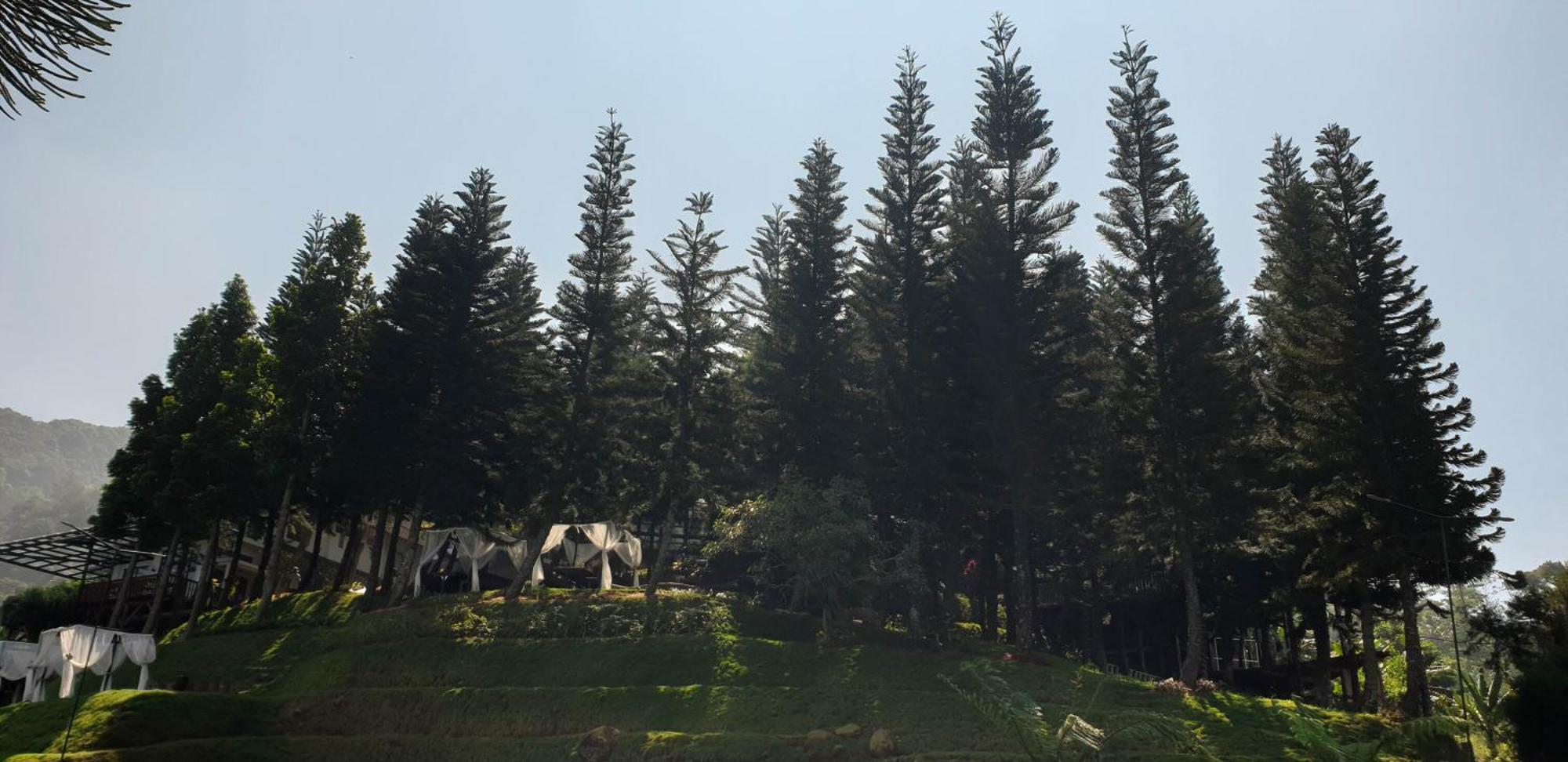 Damar Langit Resort Tjisarua Exterior foto
